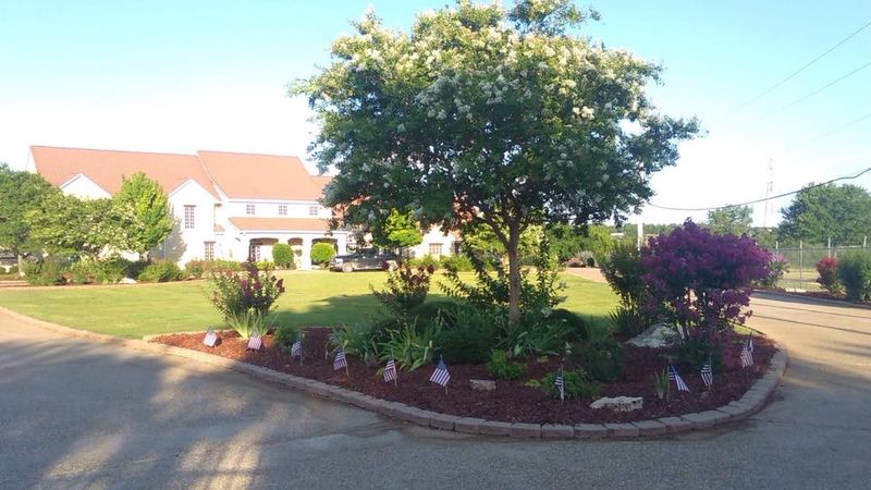 Tree Services