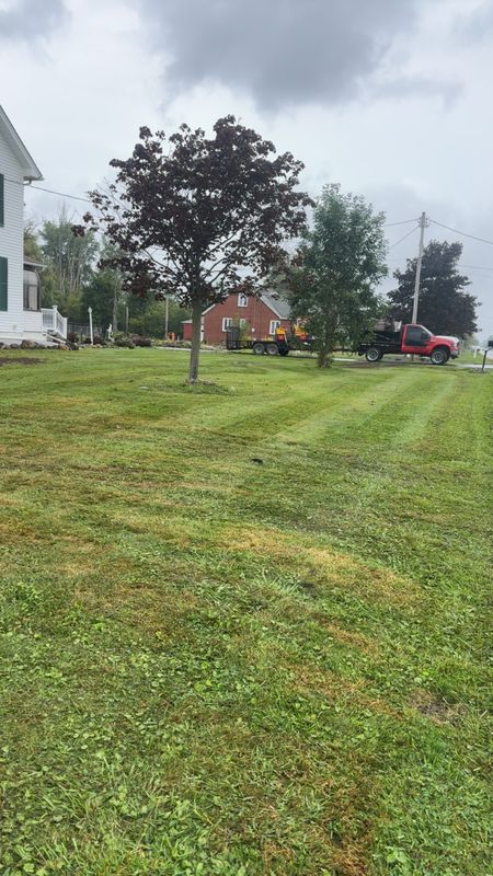 Lawn Rolling