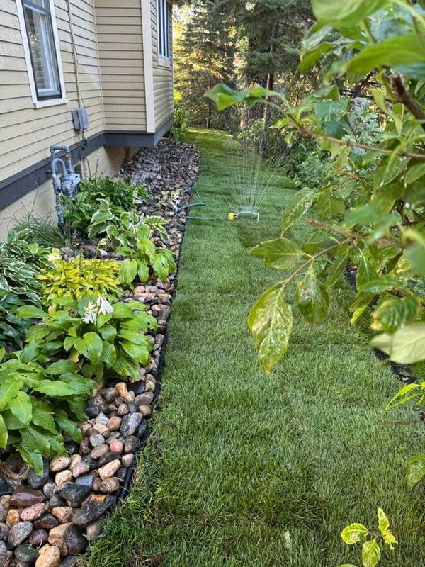 Landscape Design & Installation