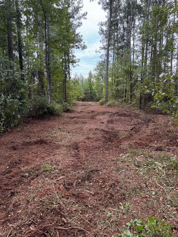 Forestry Mulching