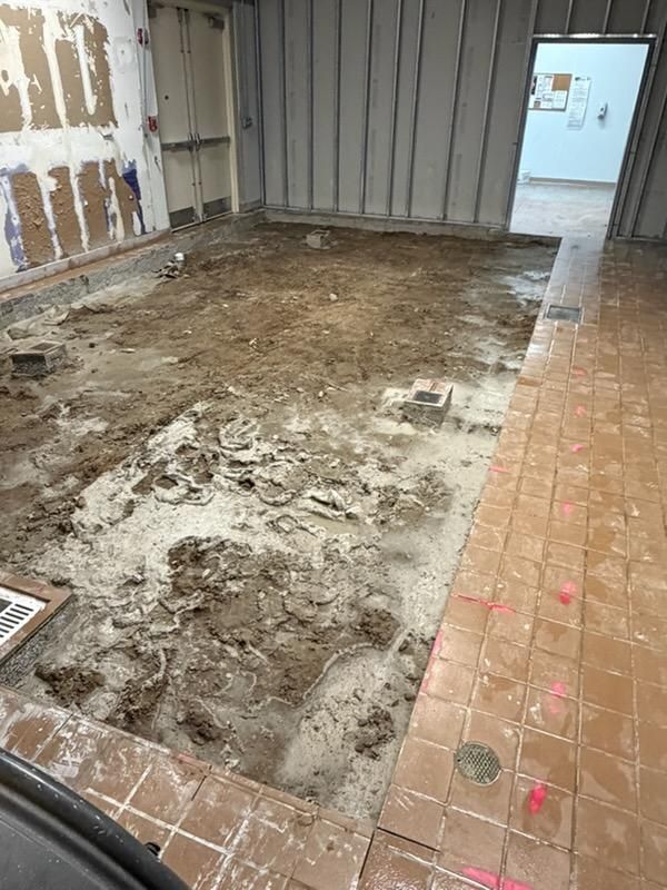 Concrete Removal