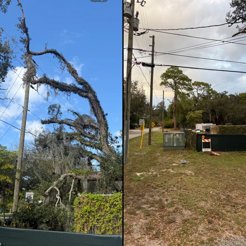 Land Clearing