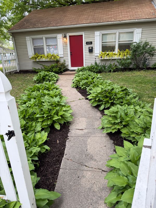 Garden Beds
