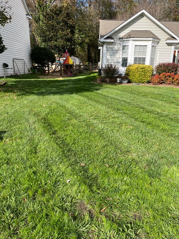 Lawn Care