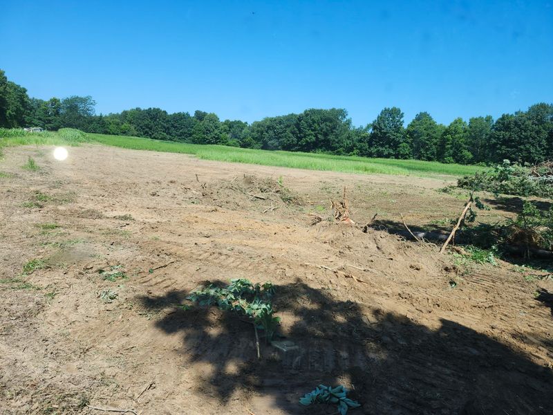 Land Clearing & Demolition
