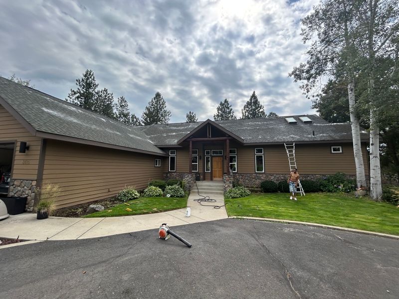 Roof Cleaning