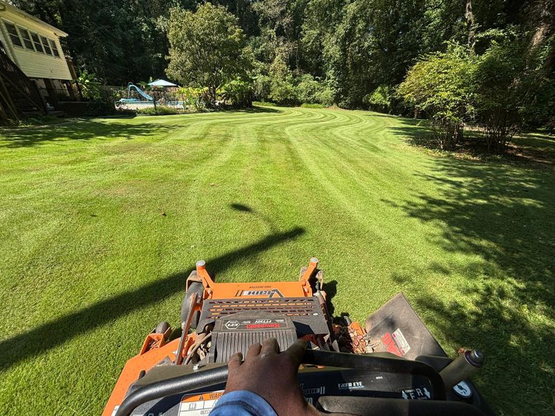 Lawn Maintenance