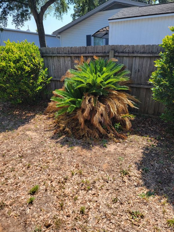 Landscaping
