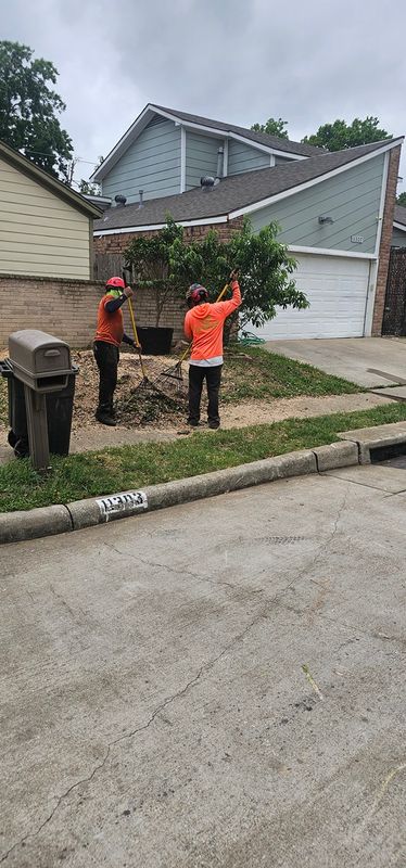Tree Removal gallery
