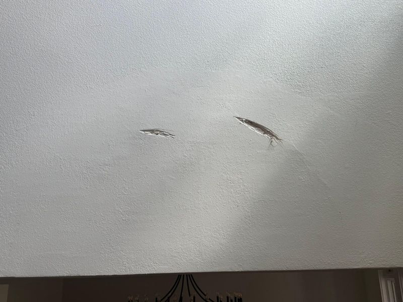 Ceiling Texture Matching & Repair