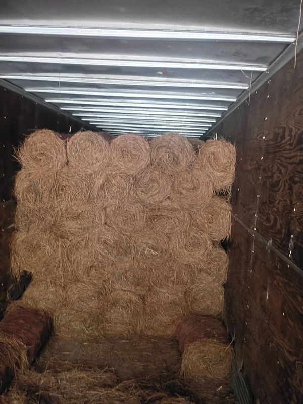 Pinestraw Installation