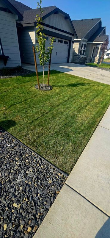 Weed Control