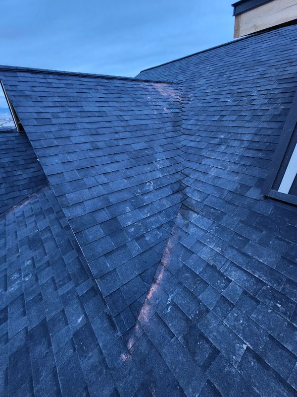 Shingle and Metal Roofs