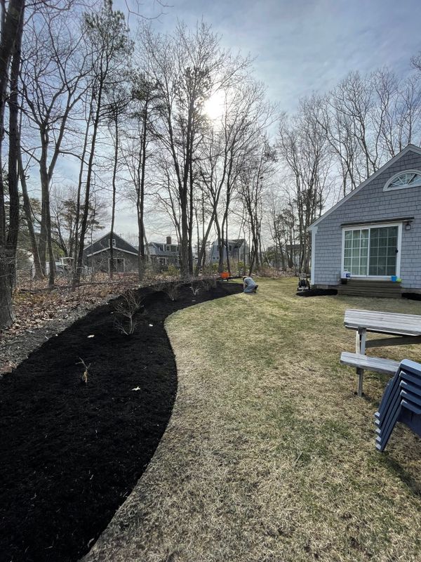 Lawn Maintenance