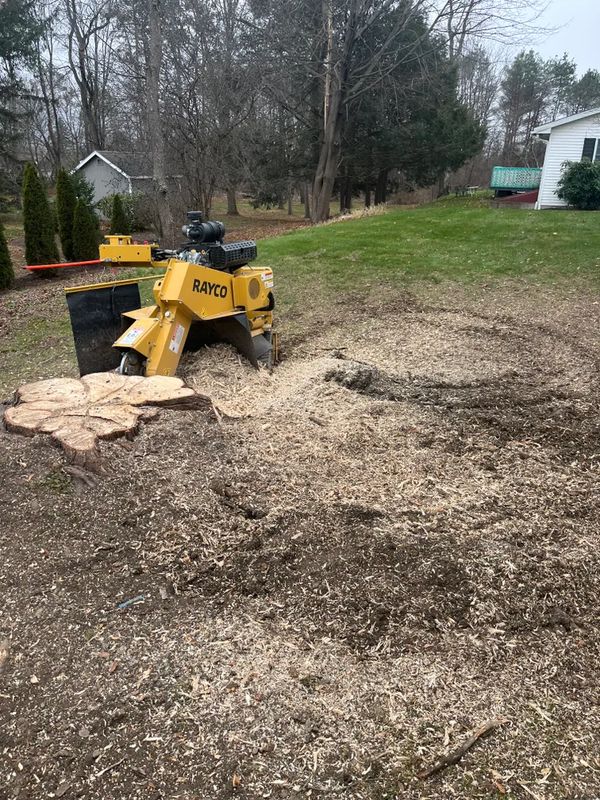 Stump Removal / Stump grinding