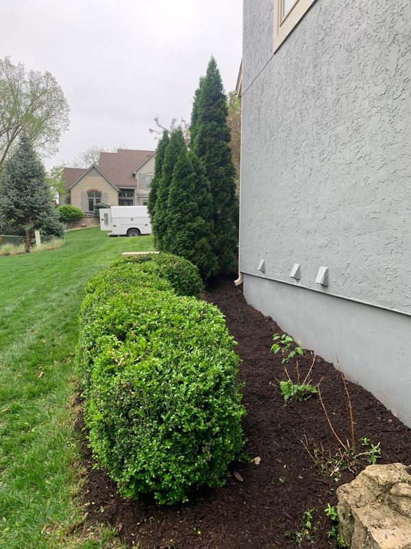 Landscape Maintenance