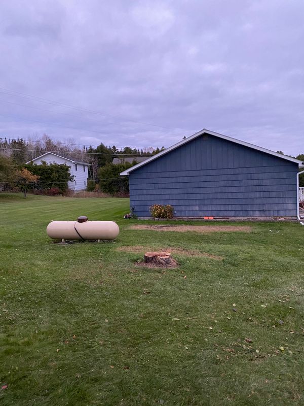 Tree Removal gallery