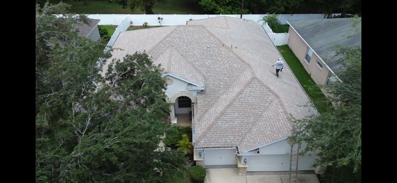 Revitalizing Valrico: Expert Gutter Cleaning & Downspout Flushing by Blue Stream Roof Cleaning & Pressure Washing