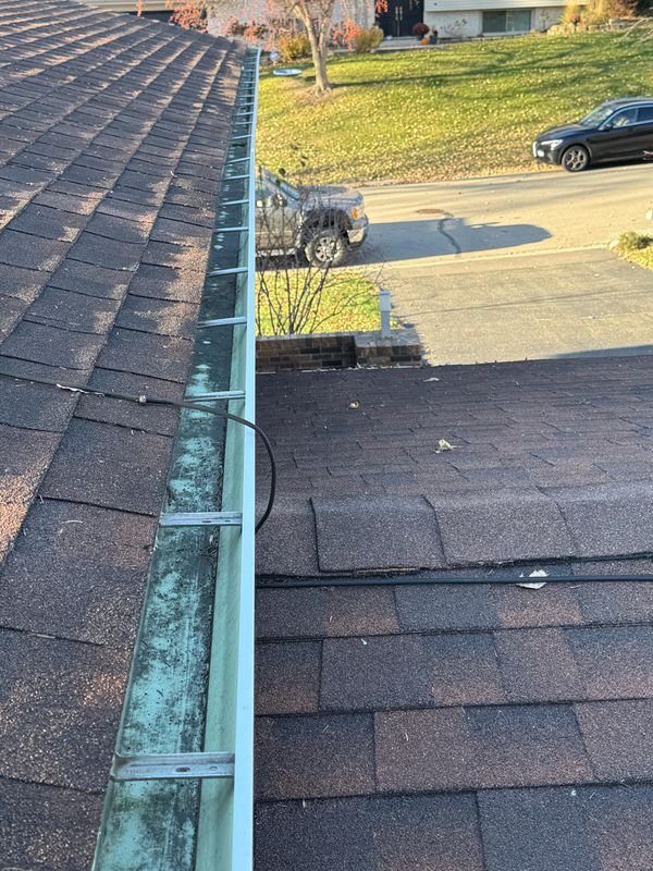 Gutter clean up