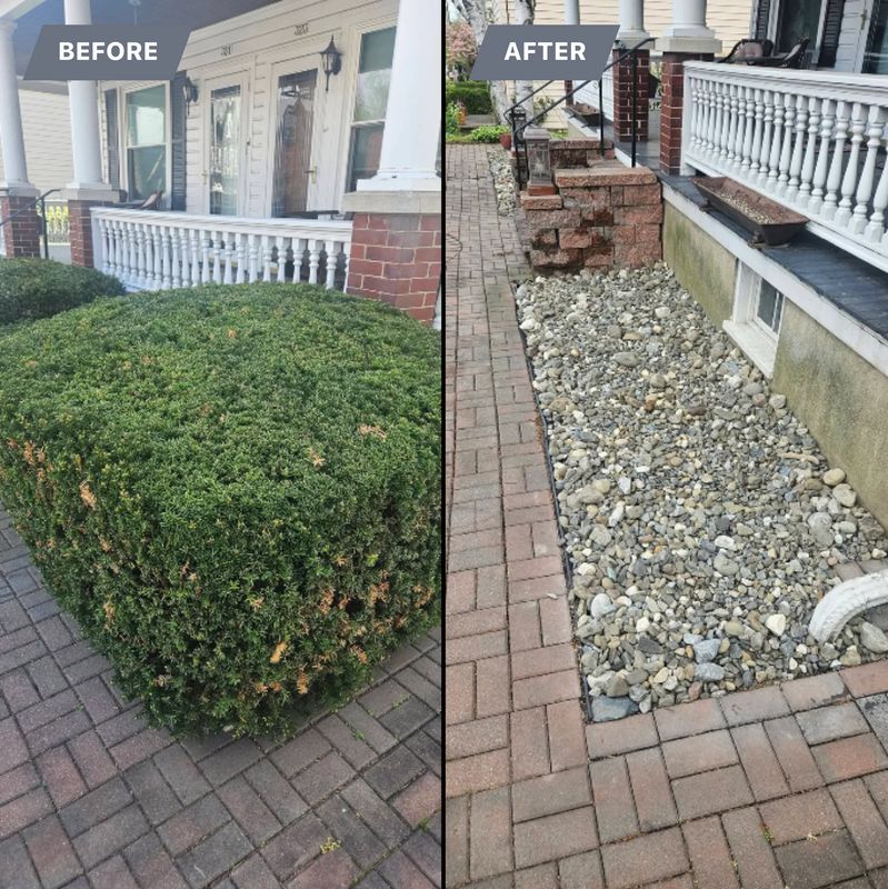 Before & Afters