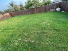 Lawn Mowing