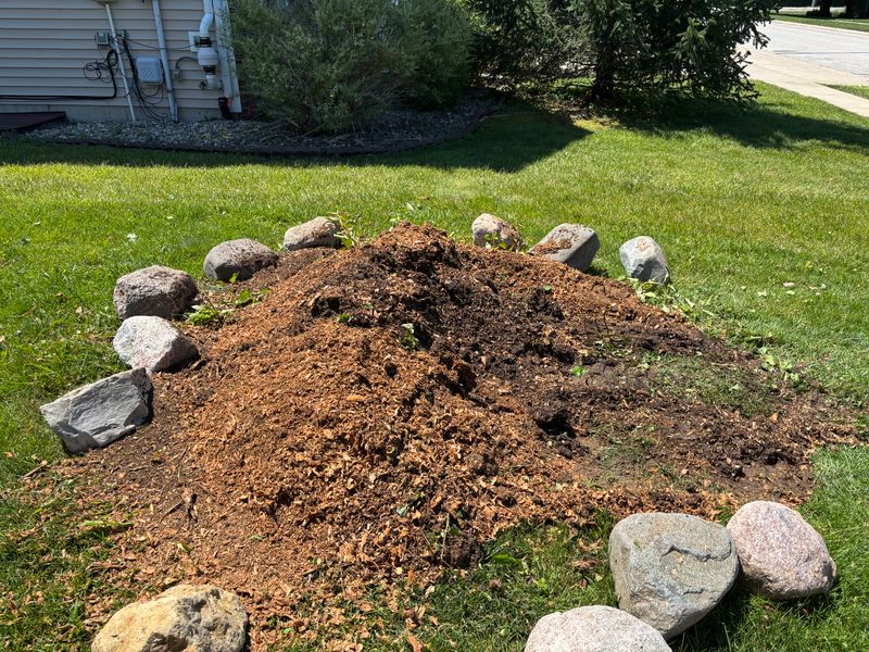 Stump Removal