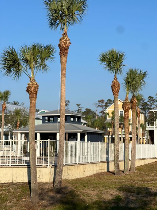Tree service