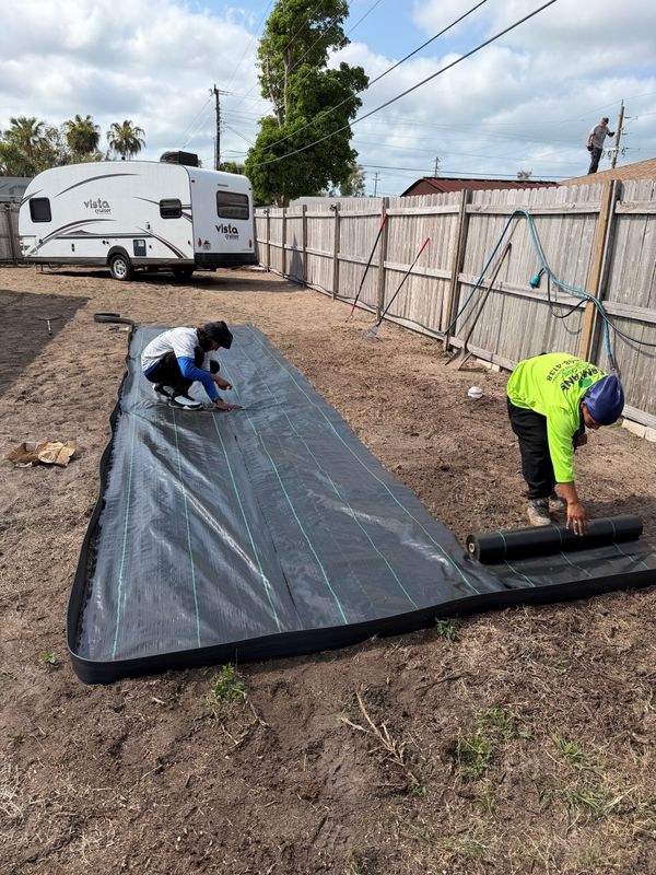 SOD Installation