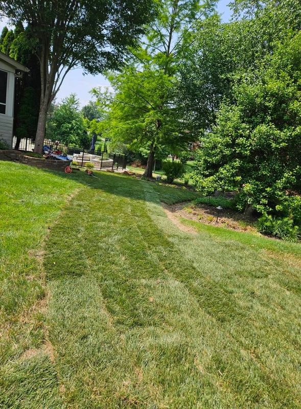 Landscape Installation