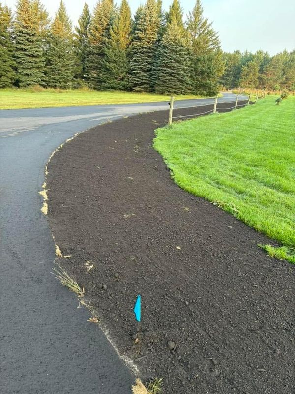 Lawn Seeding
