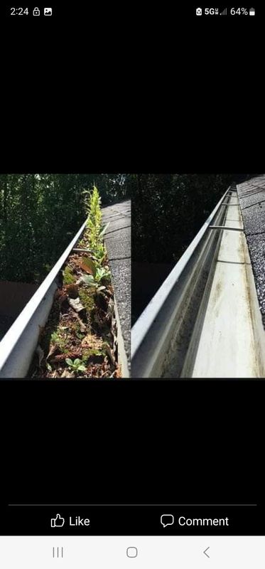 Gutter Cleaning
