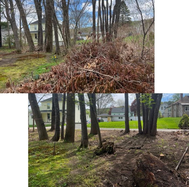 Lawn Maintenance