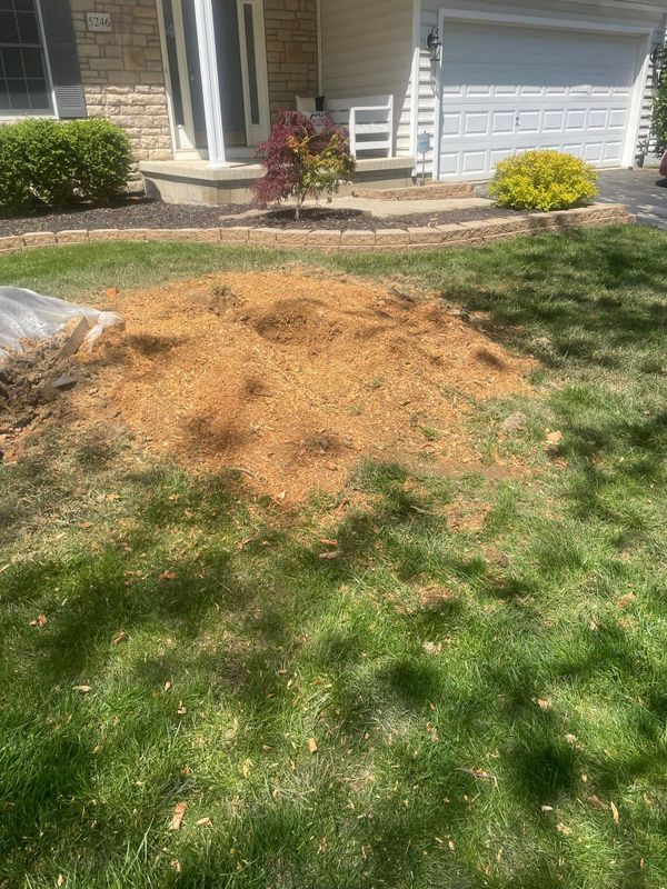 Stump Grinding