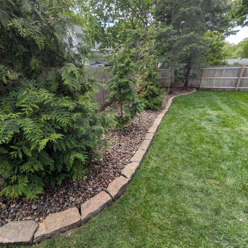 Lawn Maintenance