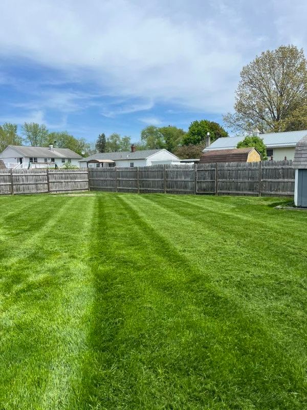 Lawn Mowing