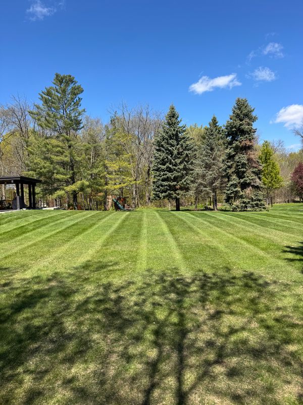 Mowing