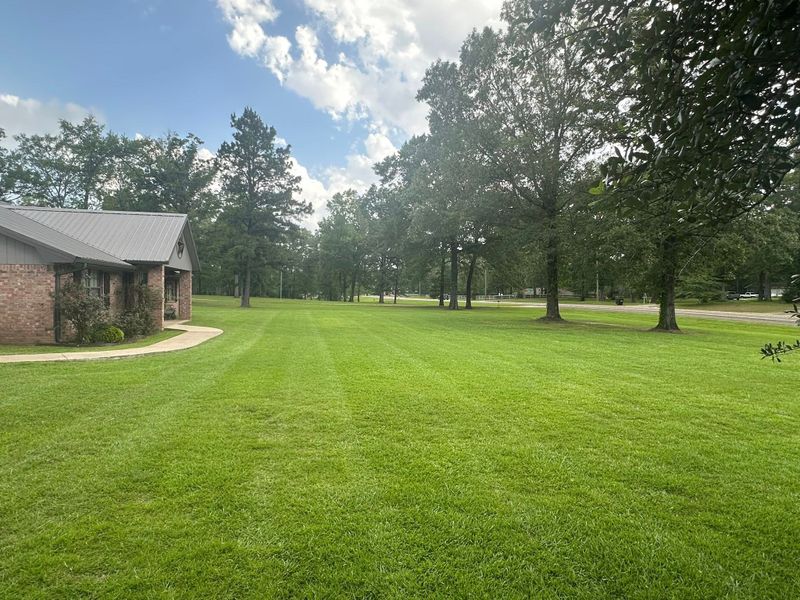Landscaping 