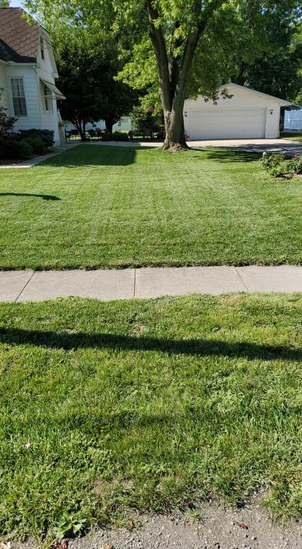landscaping
