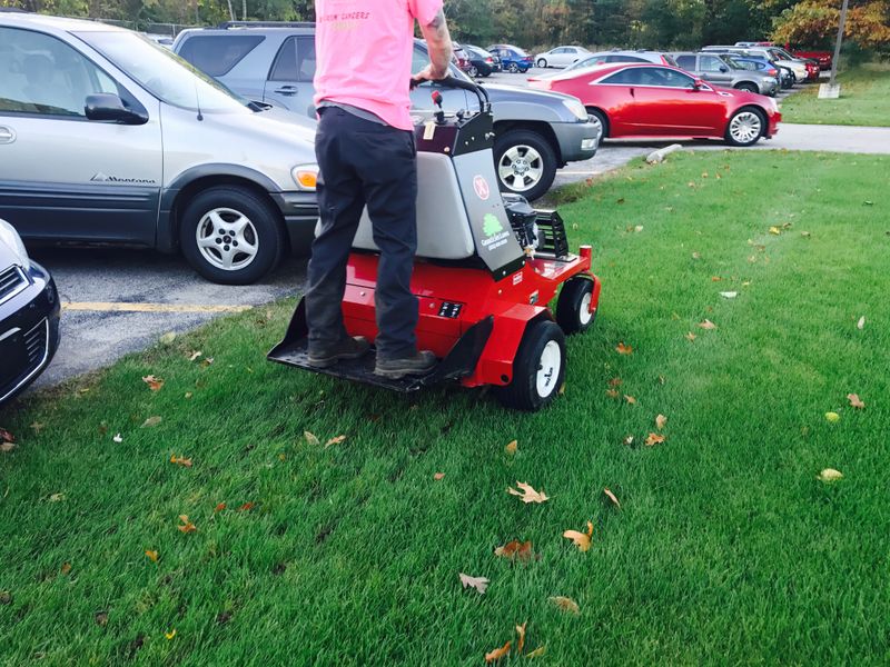 Lawn Aeration