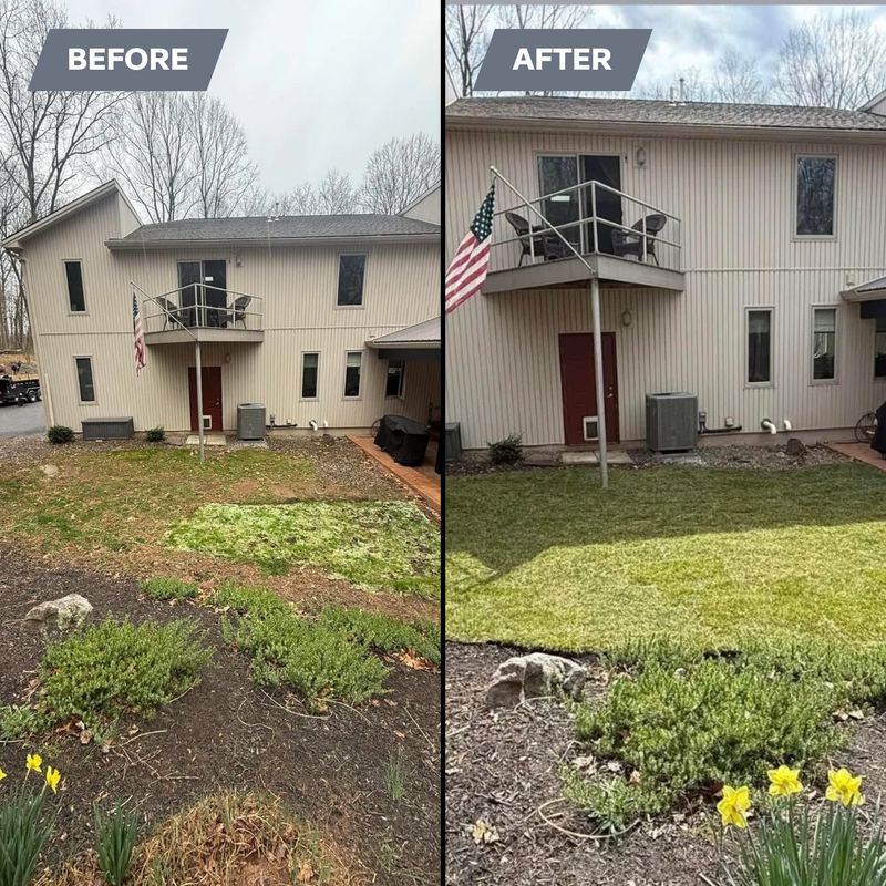 Landscape Design