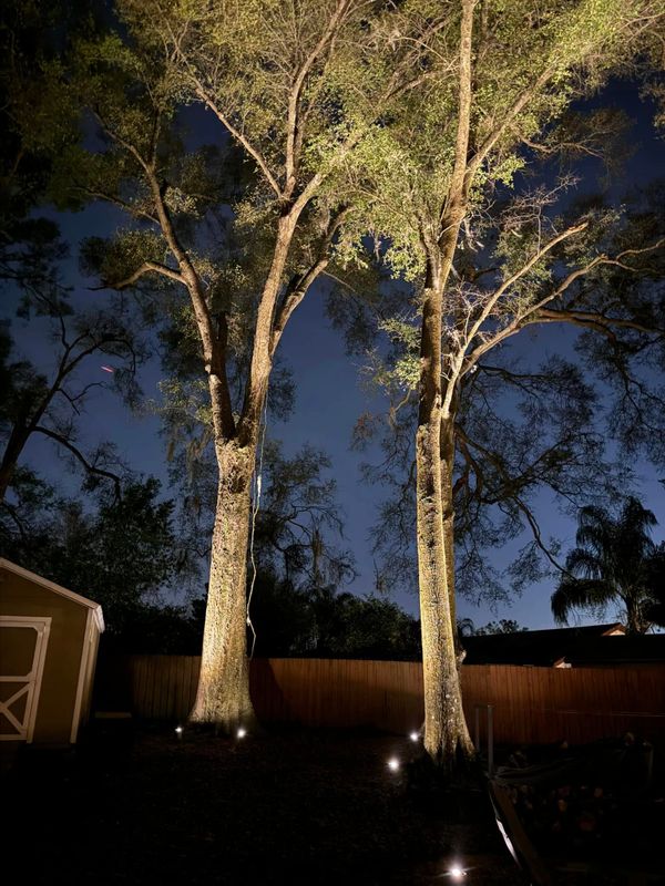 Landscape Lighting