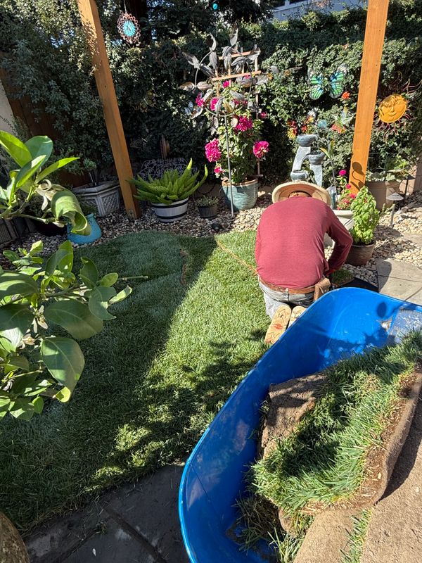 Landscaping