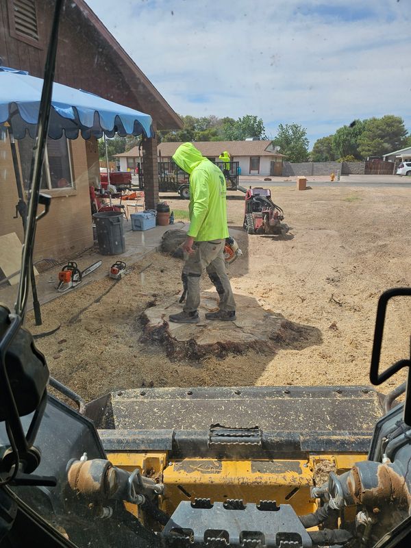 Tree Removal