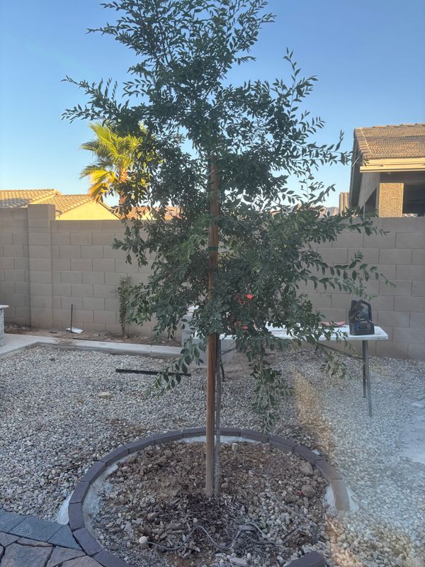 Landscaping