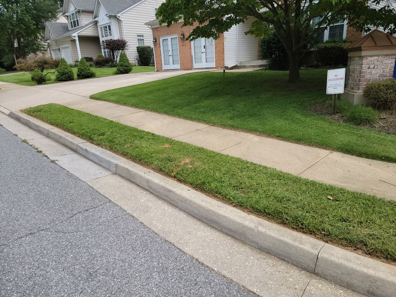 Beautiful Lawns