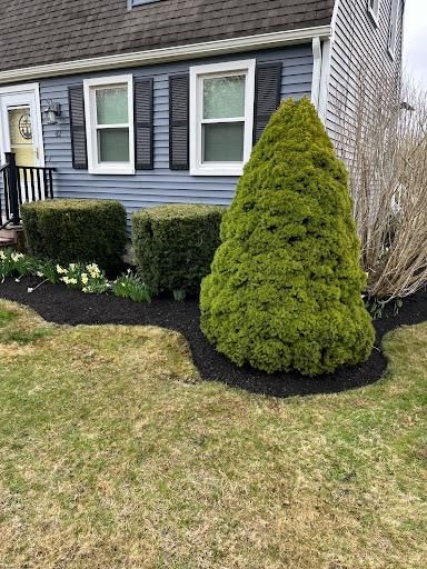 Shrub Trimming