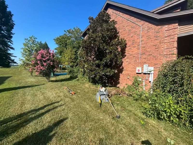 Yard Care