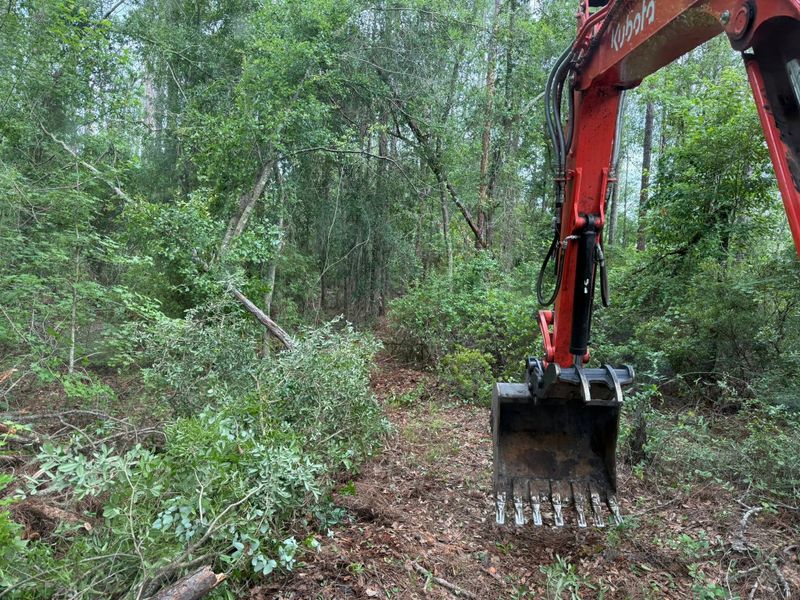 Land Clearing