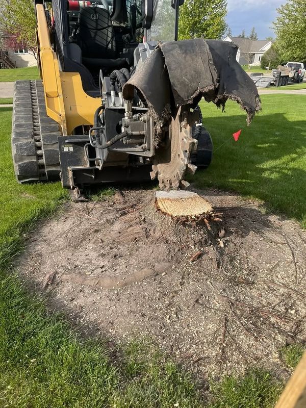 Stump Removal