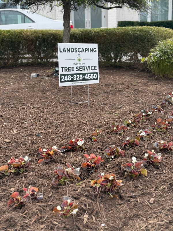 Mulch Installation